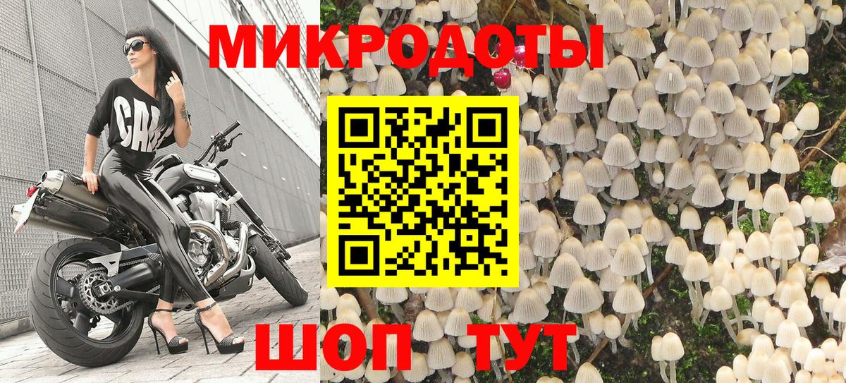 Псилоцибиновые грибы MAGIC MUSHROOMS Вичуга