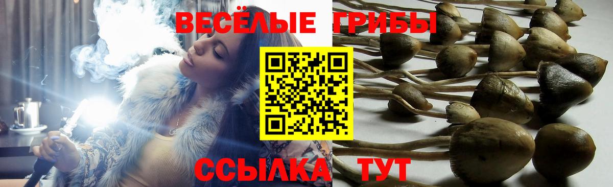 Псилоцибиновые грибы мухоморы  Вход с VPN  Вичуга 